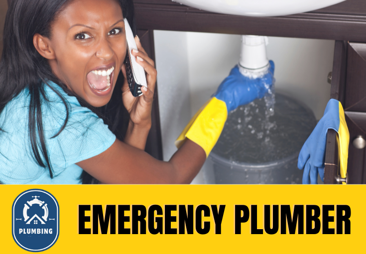 emergency plumber Aylesford