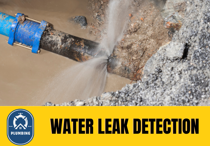 leak detection Aylesford